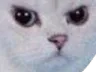 :mechat: