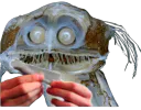 :Poisson_roule: