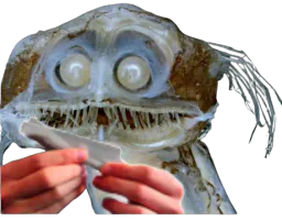 :Poisson_roule: