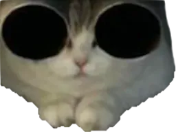 :chat_redpill:
