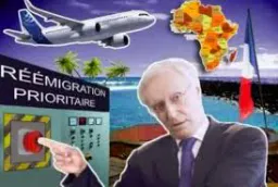 :Remigration: