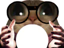 :voyante: