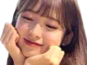 :qlc_arin: