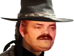 :cowboy_choque: