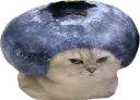 :chatbrushingmyrtille: