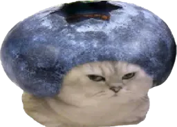 :chatbrushingmyrtille: