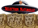 :selection-naturelle: