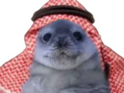 :PhoqueArab: