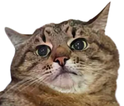 :Chat_super_blazer: