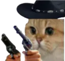 :Sodium_cowboy: