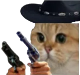 :Sodium_cowboy: