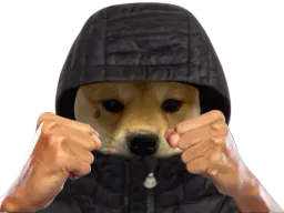 :ChienBagarre: