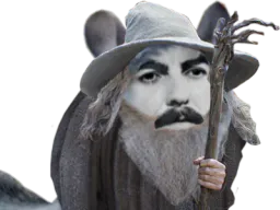 :magechinchilla: