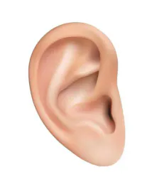 :Oreille_gauche_:
