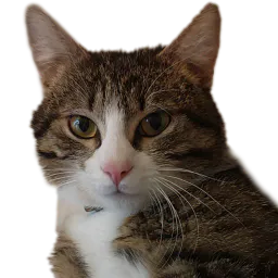 :Chat_de_SignalGouv4k:
