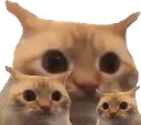 :chat_limite_x3: