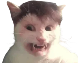 :Chat_SoniaMabrouk_: