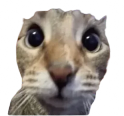 :AahCat: