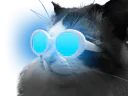 :readycat: