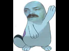 :Maraiste:
