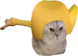:chatbrushingbanane: