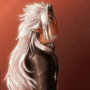 LeVraiXemnas