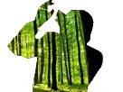 :Jesus_arbre: