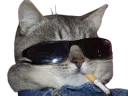 :chat_bg: