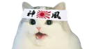 :cattopon: