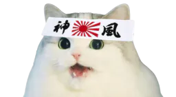 :cattopon: