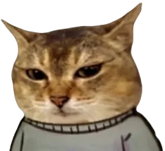 :VroChillguyZoom: