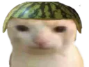 :chatpasteque: