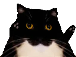 :TANGO_CAT: