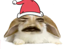 :Lapin_De_Noel: