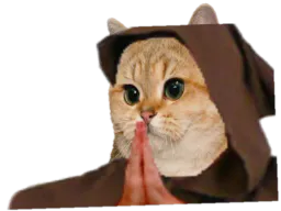 :sodium_prie: