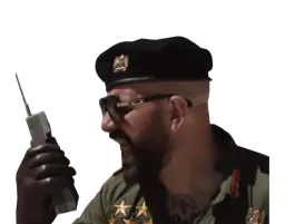:Pp4: