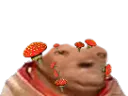 :avortin_champignons: