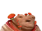 :avortin_champignons: