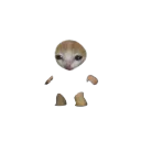 :chat_espion:
