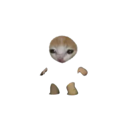 :chat_espion: