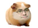 :Hamster_debile: