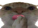 :chakleche: