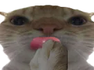 :chakleche: