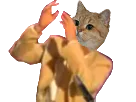 :sodium_bras: