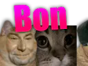 :chatretou1:
