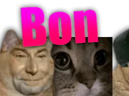 :chatretou1: