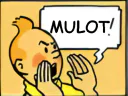 :tintinmulot:
