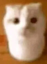:Rourirou: