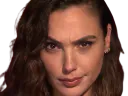 :Gal_gadot_serious: