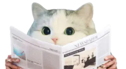 :CattoJournal:
